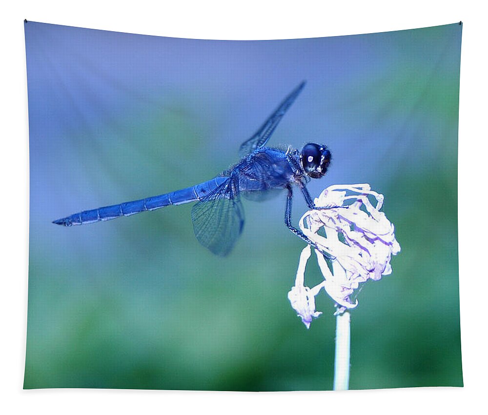A Dragonfly Tapestry featuring the photograph A Dragonfly V by Raymond Salani III