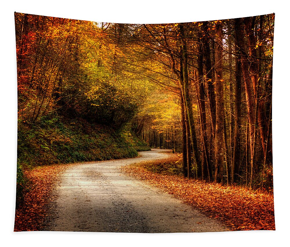 Dirt Road Tapestry featuring the photograph A Drive In The Mountains of Western North Carolina by Greg and Chrystal Mimbs