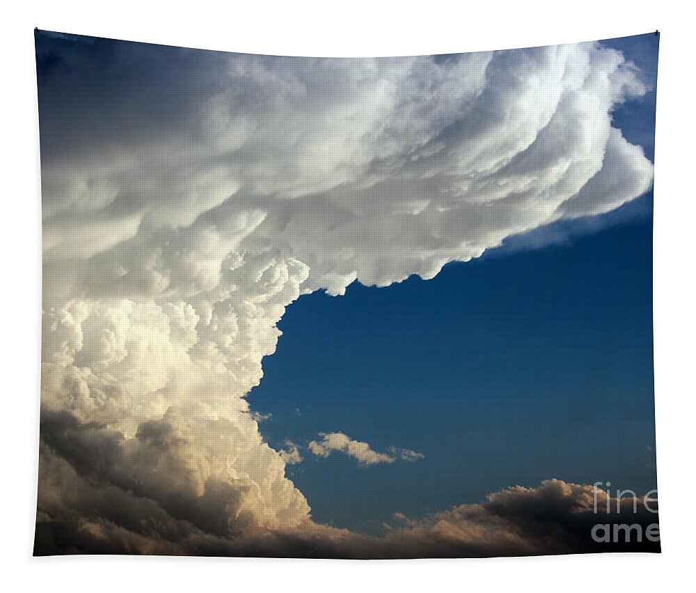 Wall Tapestry featuring the photograph A Face in the Clouds by Barbara Chichester
