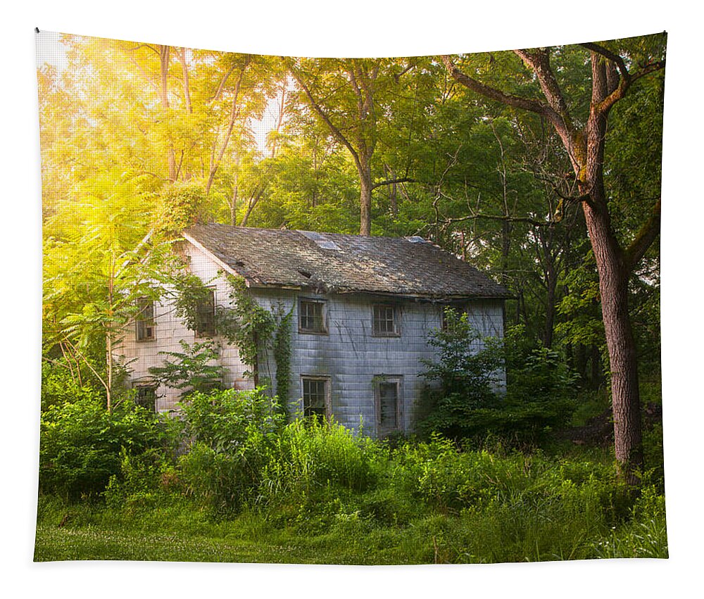Old House Tapestry featuring the photograph A fading memory one summer morning - Abandoned house in the woods by Gary Heller