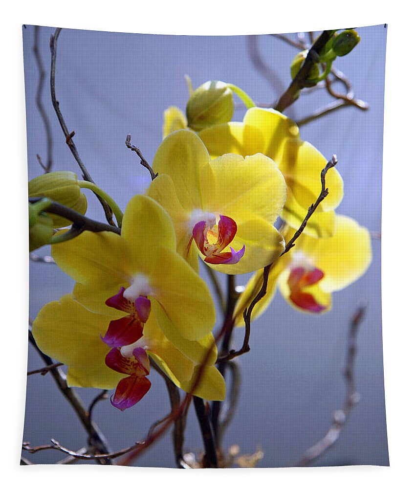 Yellow Tapestry featuring the photograph A Family Of Orchids by Cora Wandel