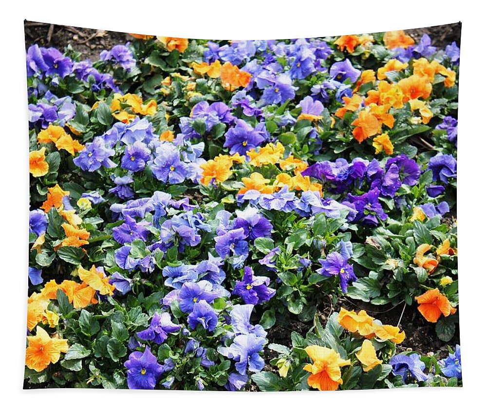 Nature Tapestry featuring the photograph A Garden of Lovely Little Faces by Judy Palkimas