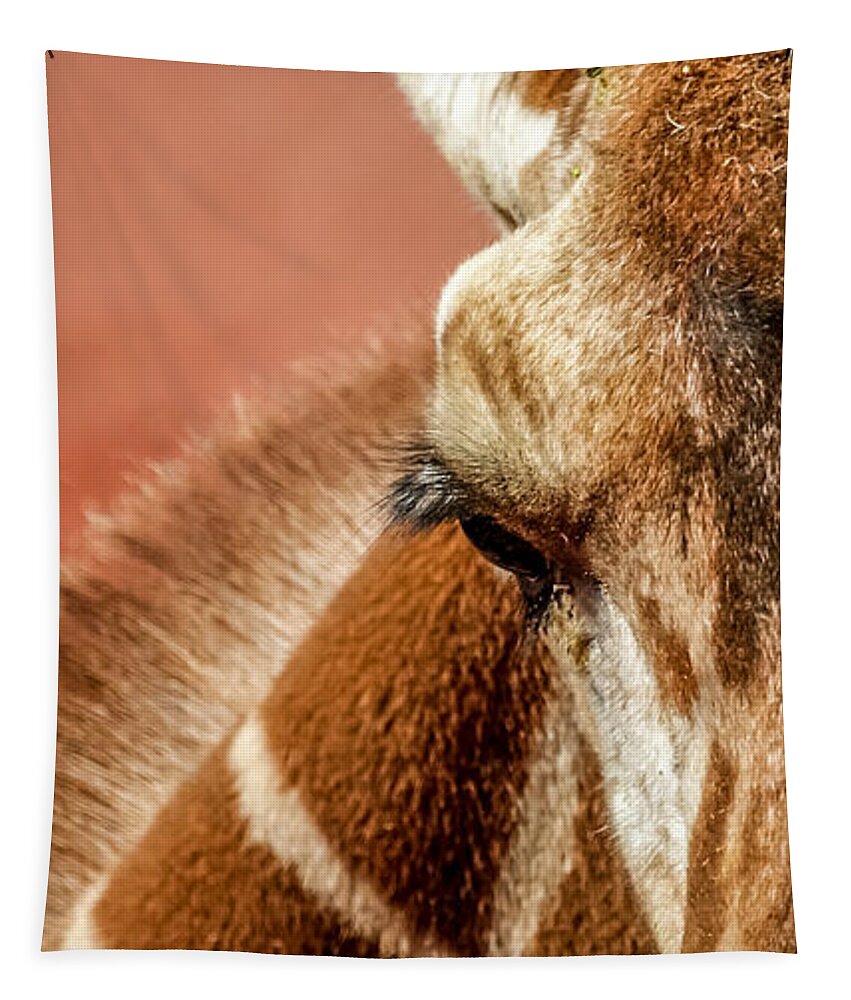 Animals Tapestry featuring the photograph A Giraffe by Ernest Echols