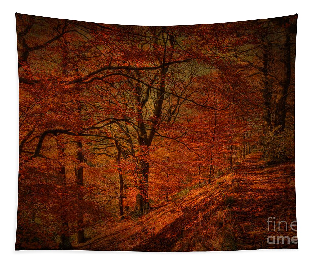 Woodland Tapestry featuring the photograph A Golden day by David Birchall