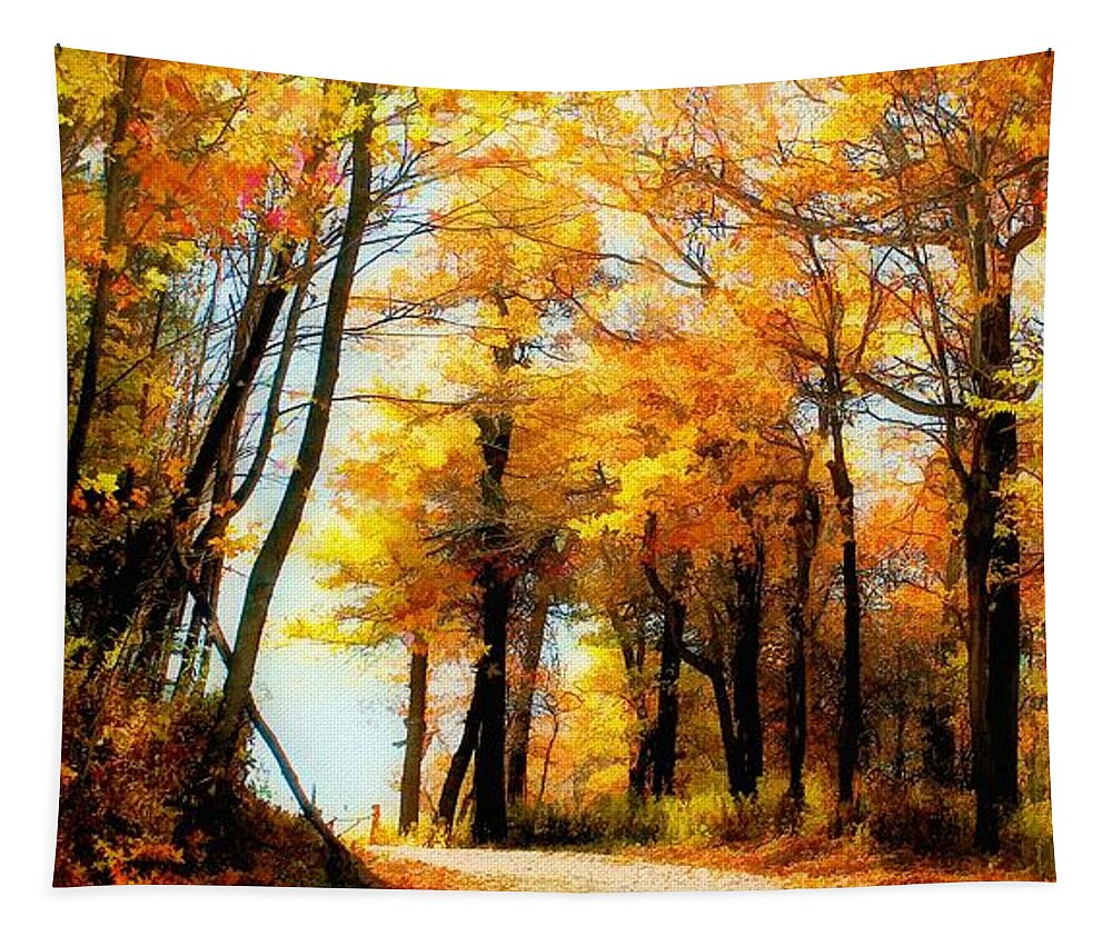 Autumn Leaves Tapestry featuring the photograph A Golden Day by Lois Bryan