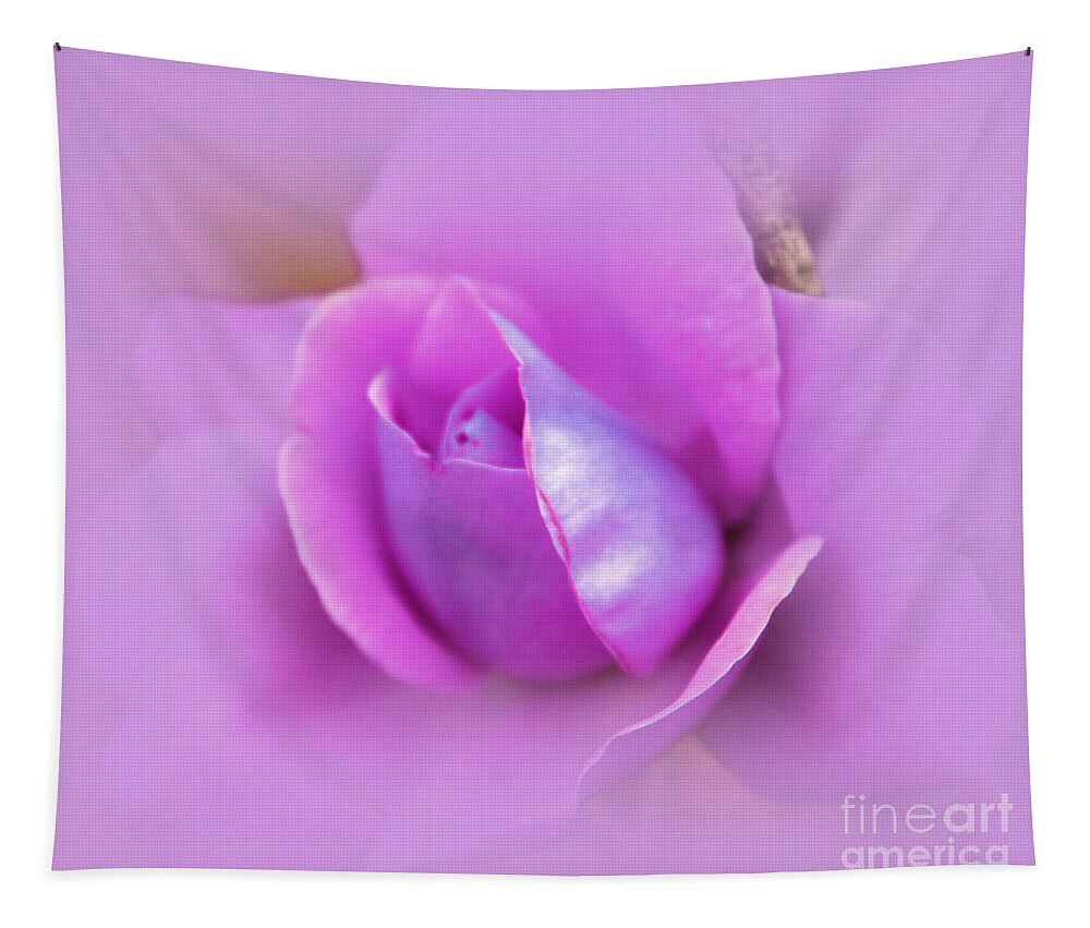 Rose Tapestry featuring the photograph A Hint of Lavender Rose by Judy Palkimas