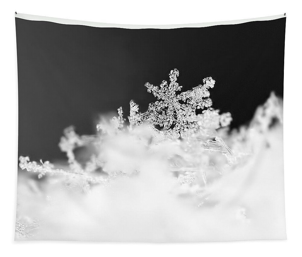 Snowflake Tapestry featuring the photograph A Jewel of a Snowflake by Rona Black