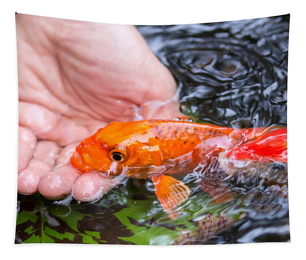 Koi Tapestry featuring the photograph A Koi In The Hand by Priya Ghose