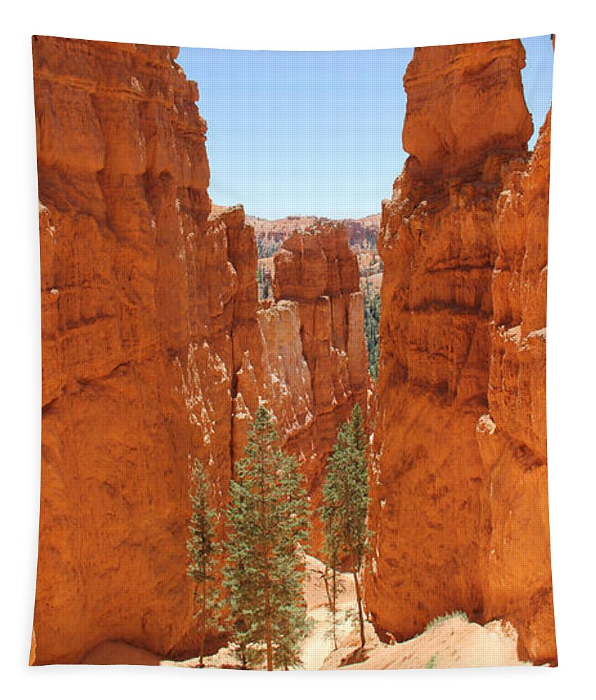 Southwest Tapestry featuring the photograph A Long Way to the Top by Mike McGlothlen