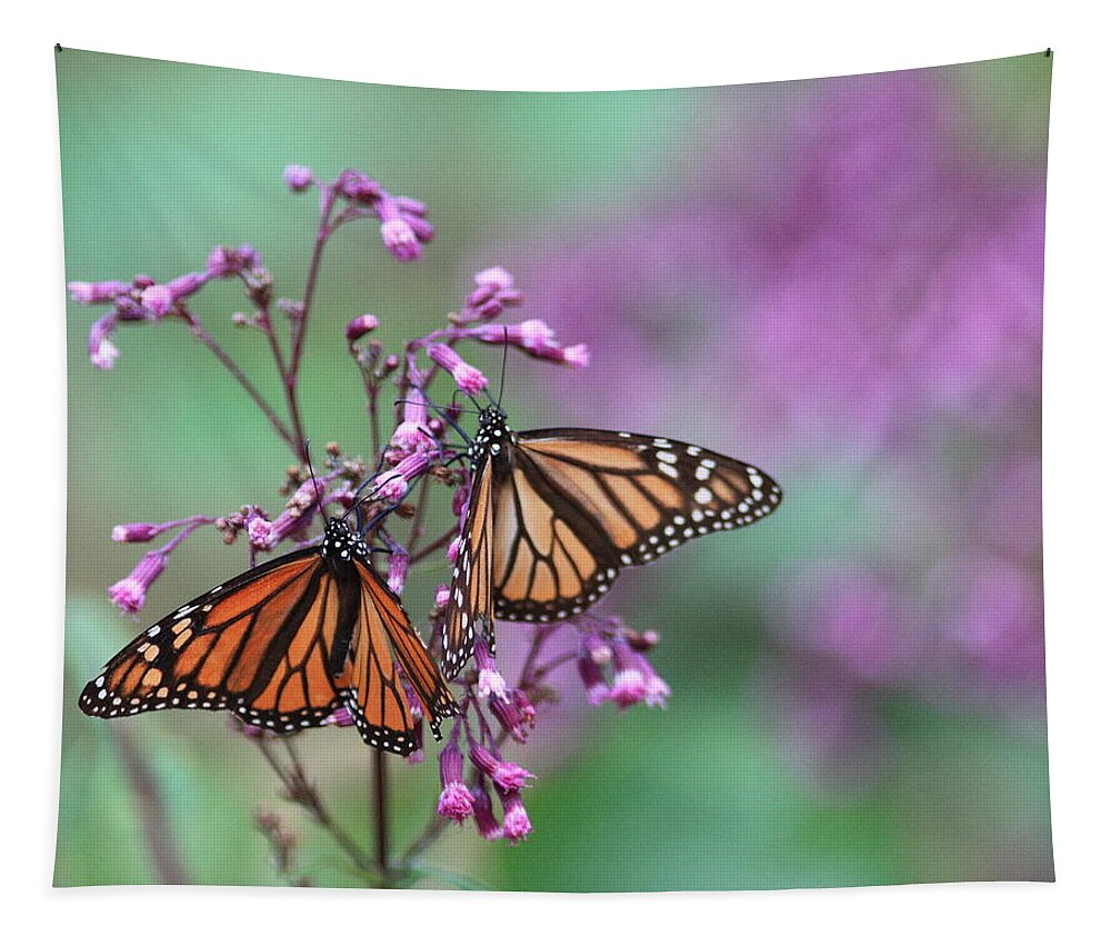 Butterflies Tapestry featuring the photograph A pair of monarch butterlies by Robert McKinstry
