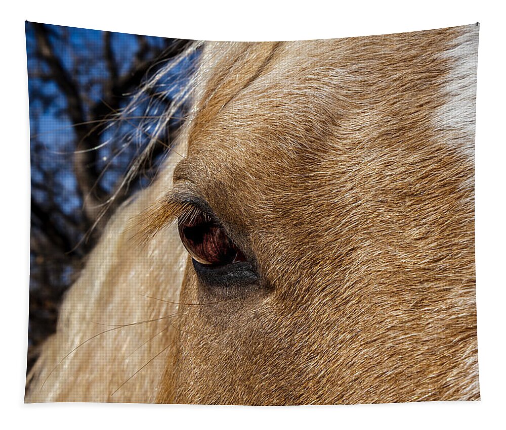 Afternoon Tapestry featuring the photograph A Palomino's Eye. by Doug Long