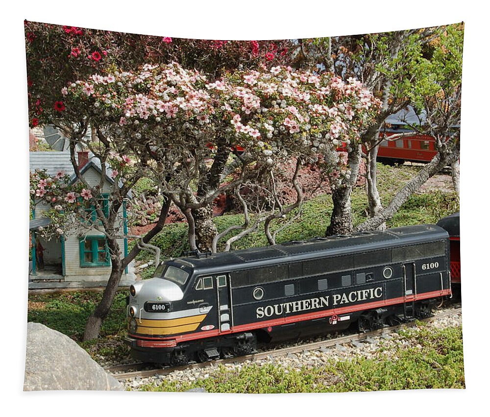 Linda Brody Tapestry featuring the photograph A Passenger Train Passes by Farm House by Linda Brody