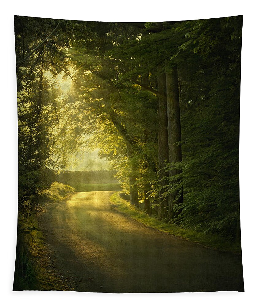 Road Tapestry featuring the photograph A Path To The Light by Evelina Kremsdorf