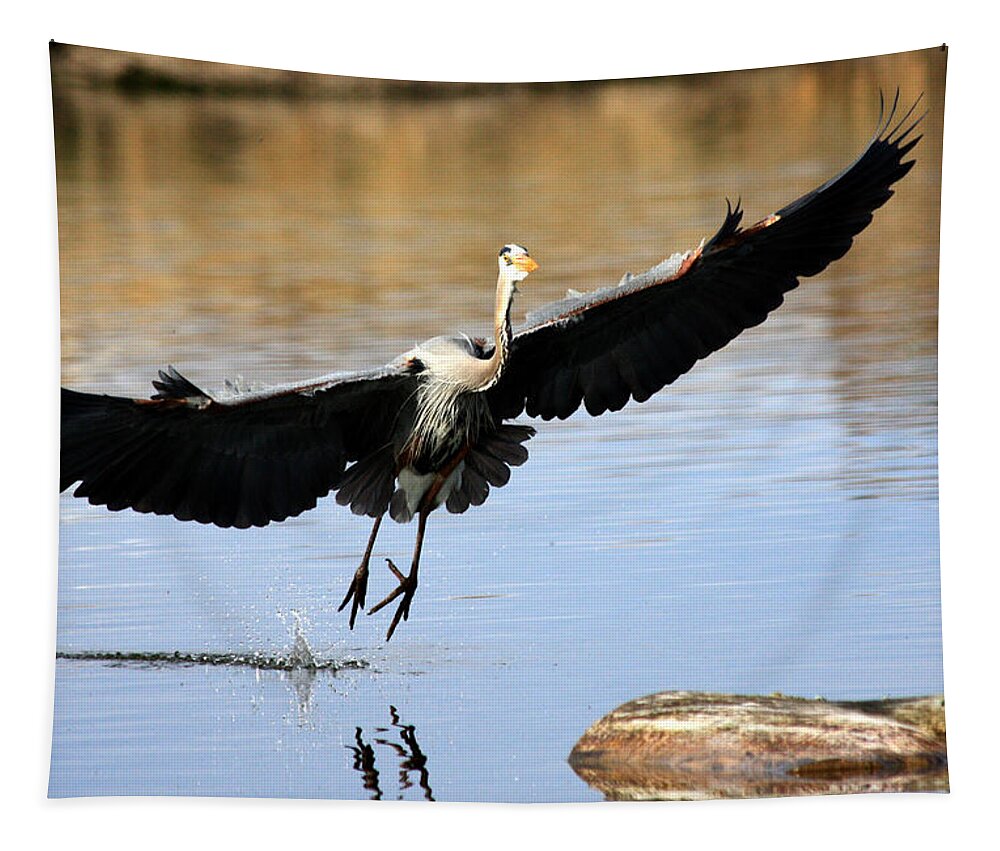 Great Blue Heron Tapestry featuring the photograph A Perfect Landing by Shane Bechler