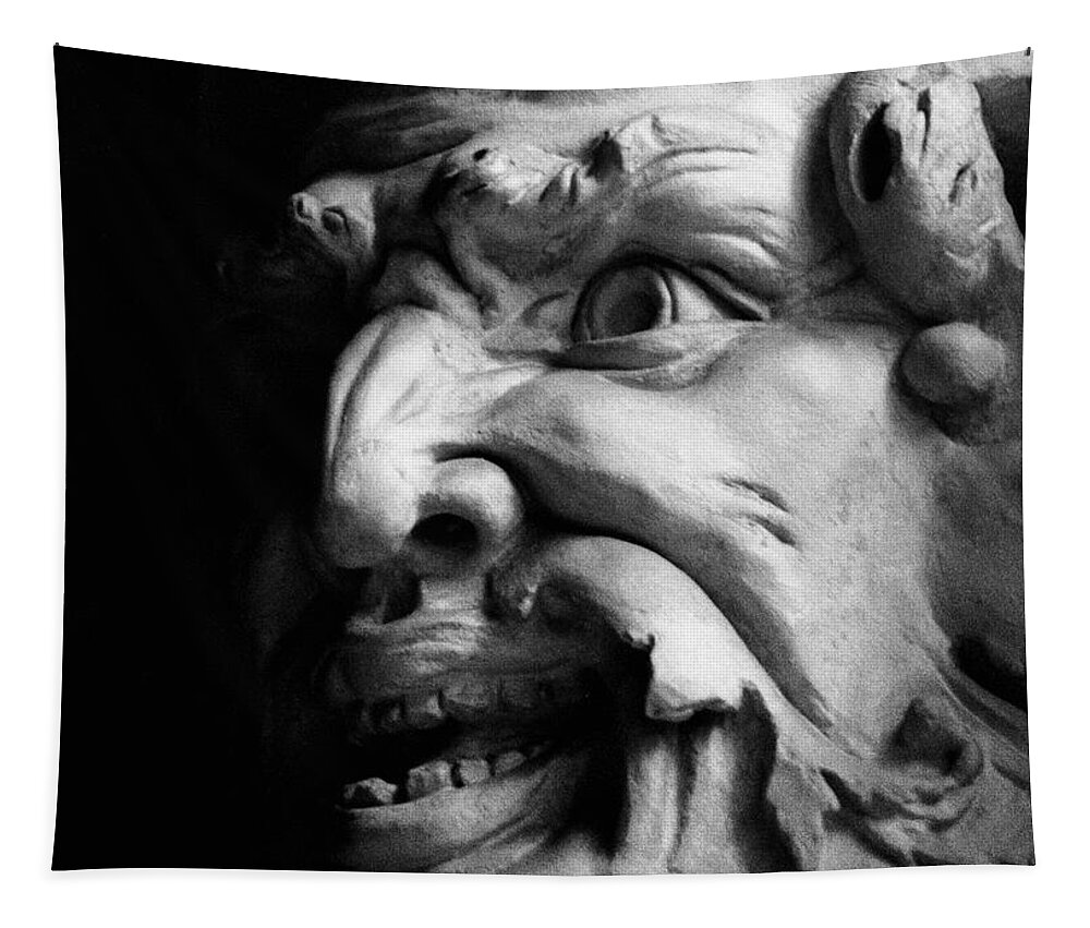 Gargoyle Tapestry featuring the photograph A Smile in the Dark by Diana Haronis