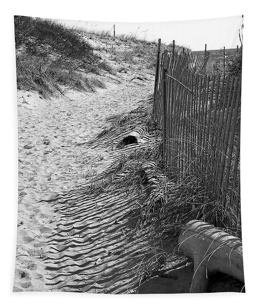 Beach Retaining Fence Tapestry featuring the photograph A Stroll In The Sand by Jeff Folger