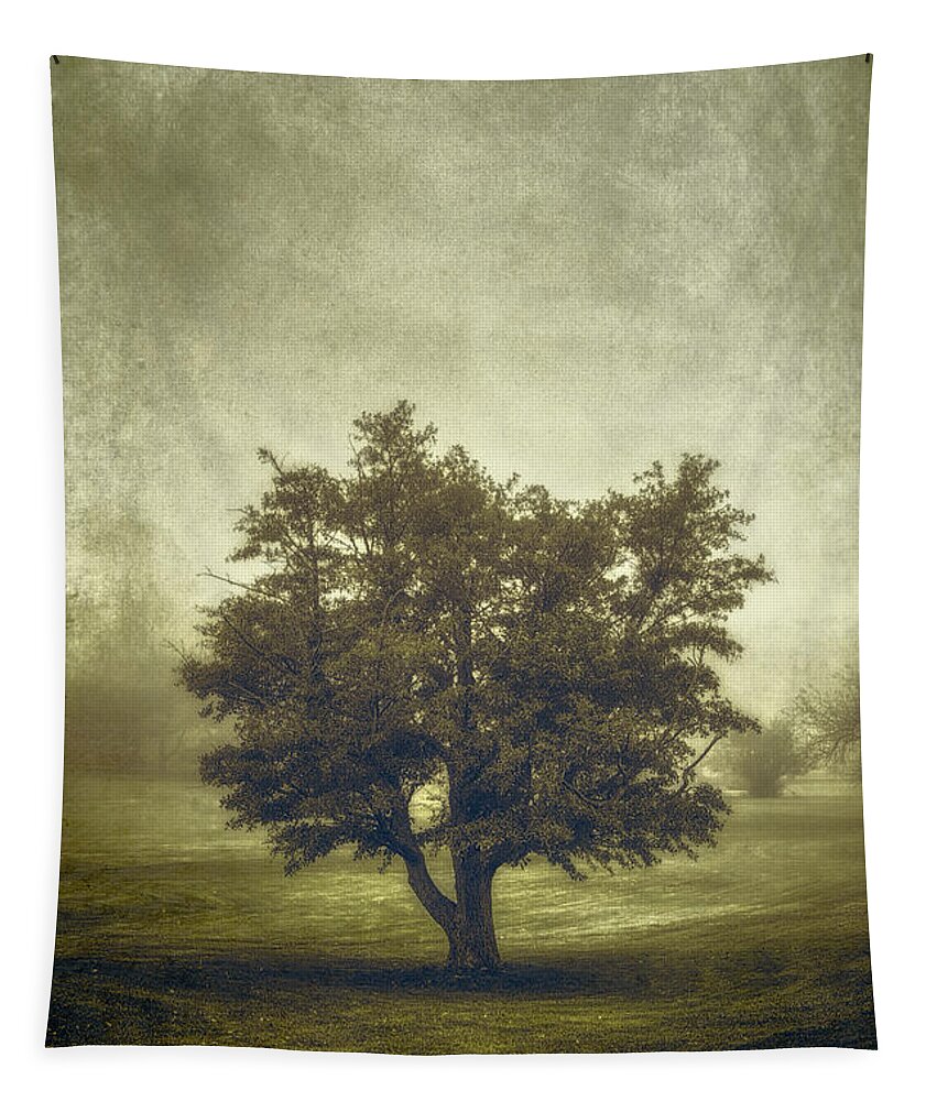 Tree Tapestry featuring the photograph A Tree in the Fog 2 by Scott Norris