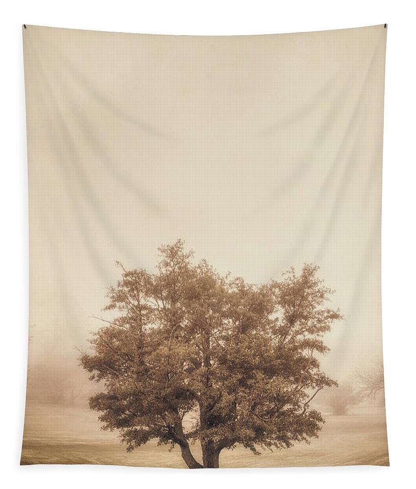 Tree Tapestry featuring the photograph A Tree in the Fog by Scott Norris