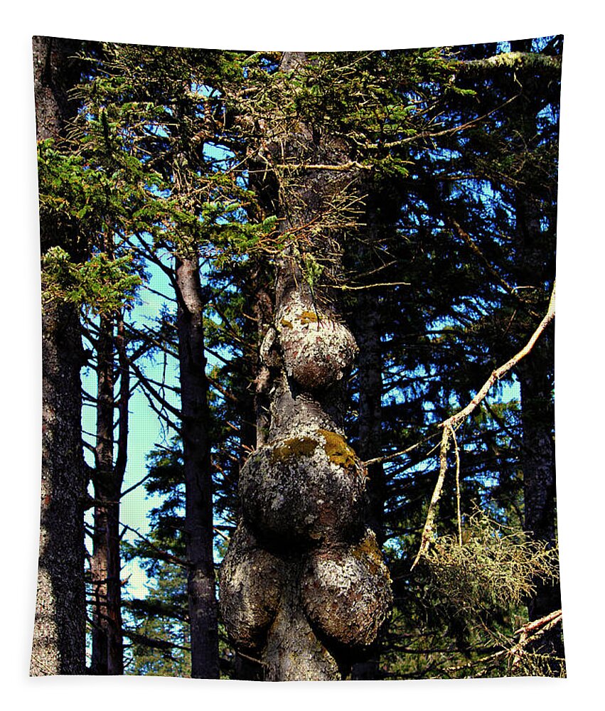 Tree Tapestry featuring the photograph A True Oddity by Jeanette C Landstrom