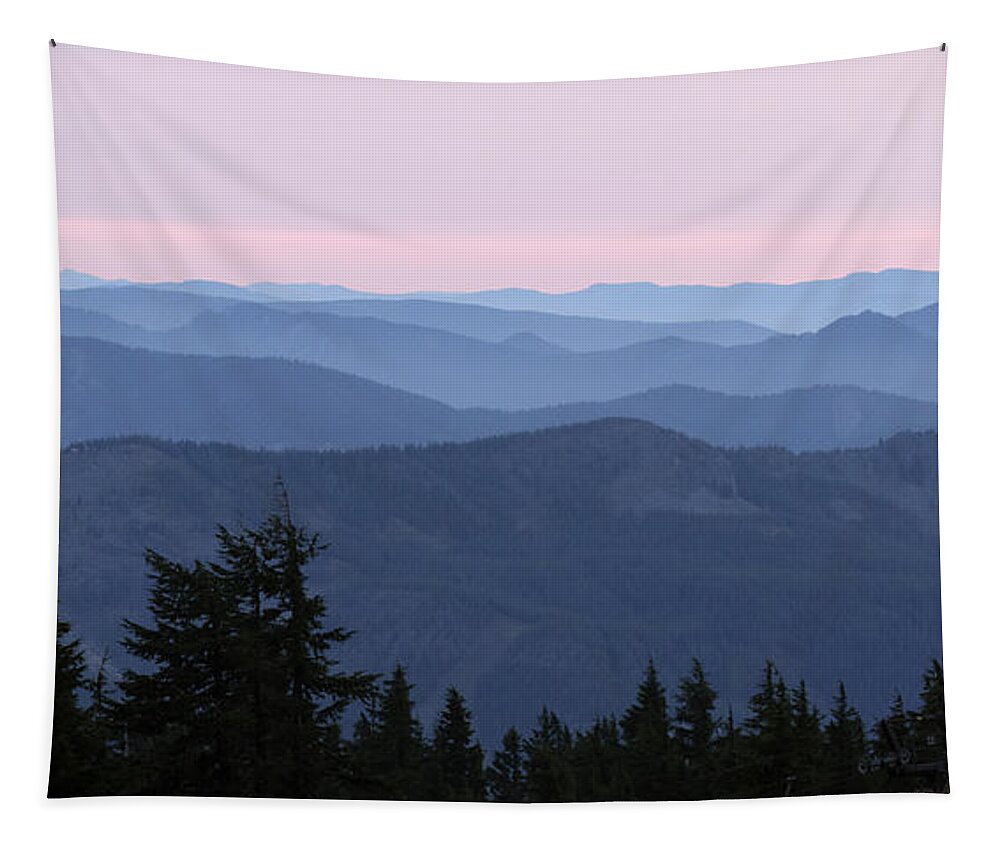 A View From Timberline Tapestry featuring the photograph A View from Timberline by Wes and Dotty Weber