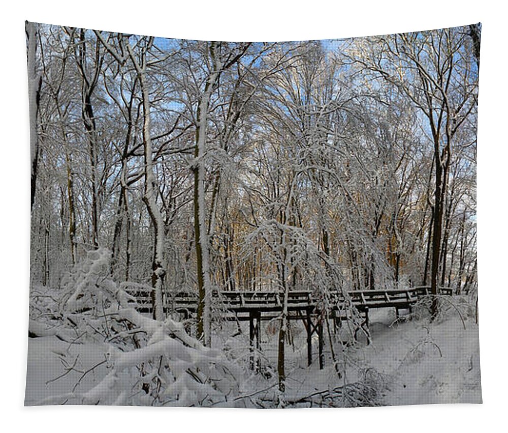 Salani Tapestry featuring the photograph A Winter Scene by Raymond Salani III