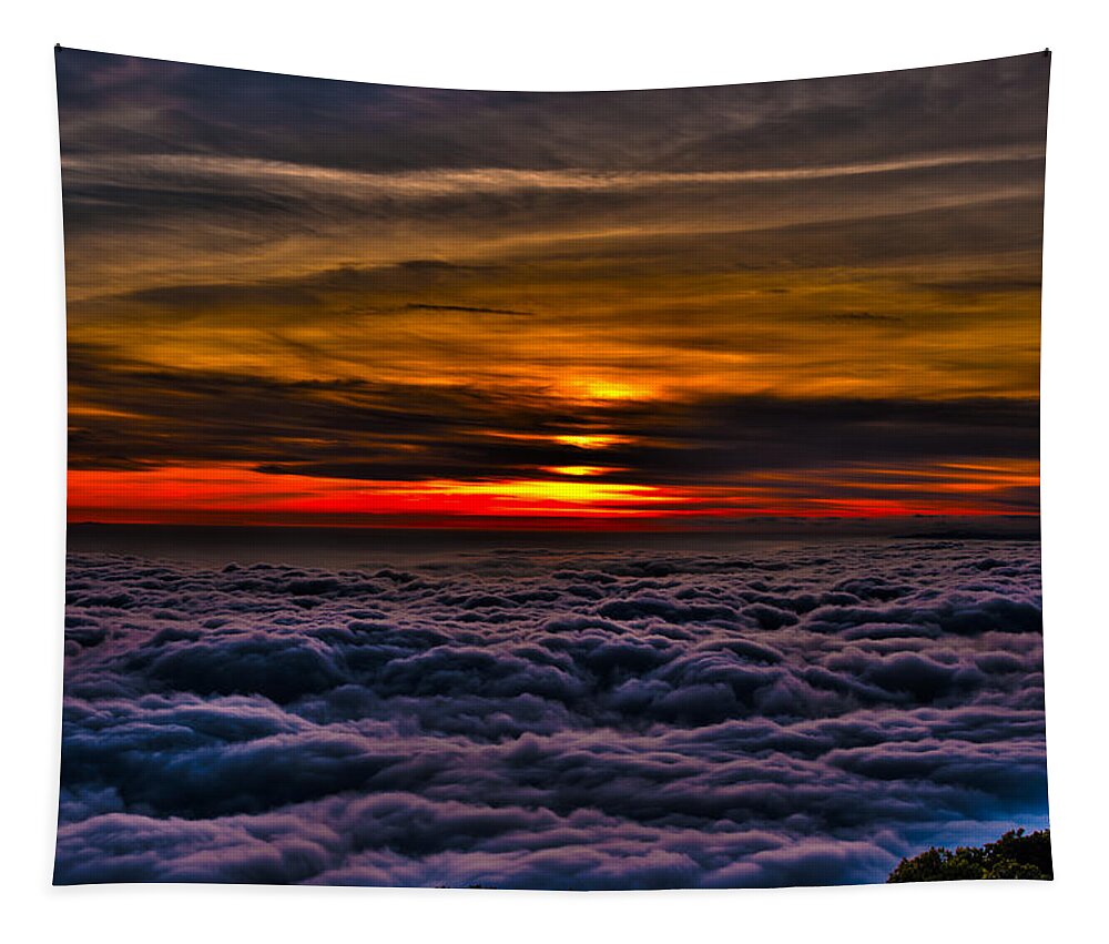 Mt Wilson Tapestry featuring the photograph Above the Marine Layer by Richard J Cassato