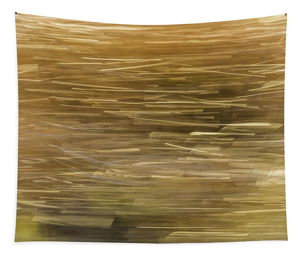 Abstract Tapestry featuring the photograph Abstract Cattails Series #2 by Thomas Young