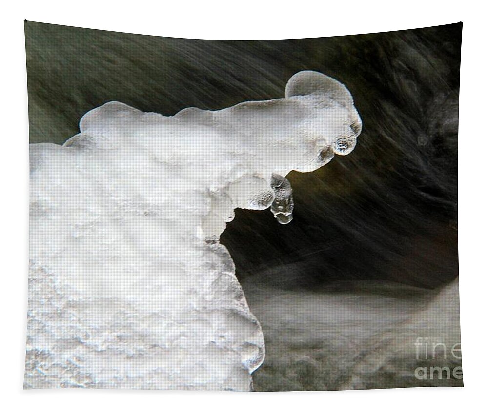 Ice Tapestry featuring the photograph Abstract Ice Reach by Roland Stanke