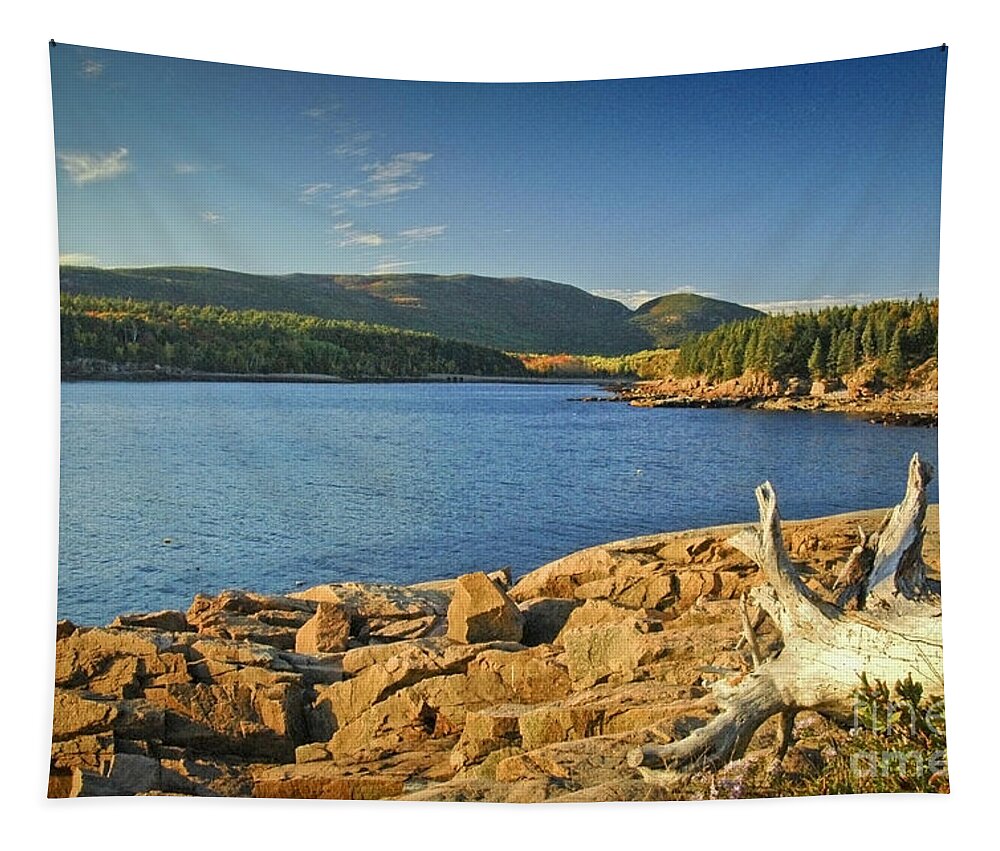 Acadia National Park Tapestry featuring the photograph Acadia Otter Cove by Alana Ranney