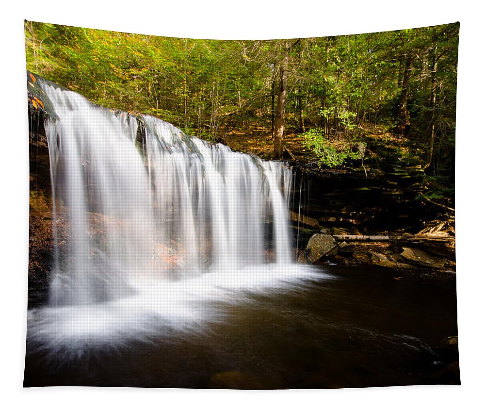 Cascade Waterfalls Tapestry featuring the photograph Across the Ledge Waterfall by Crystal Wightman