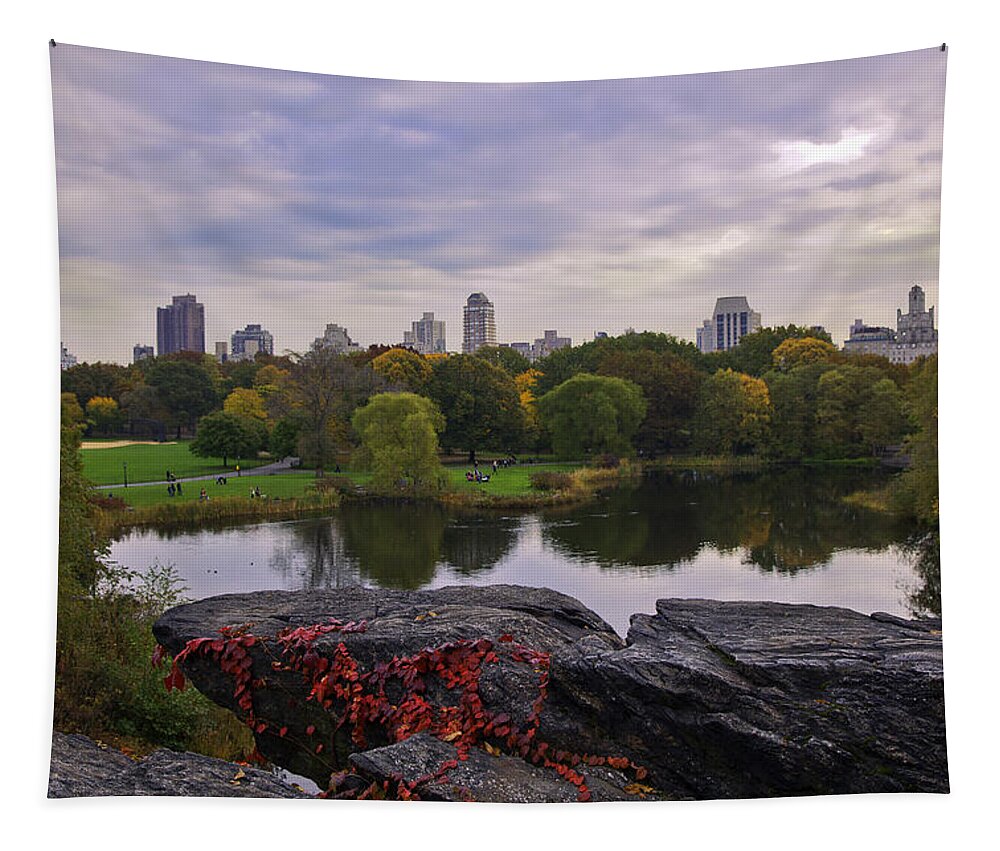 Central Park Tapestry featuring the photograph Across the Pond 2 - Central Park, NYC by Madeline Ellis