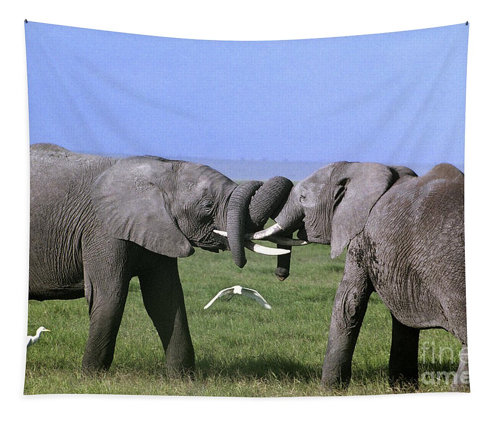 Africa Tapestry featuring the photograph African Elephant Greeting Endangered Species Tanzania by Dave Welling
