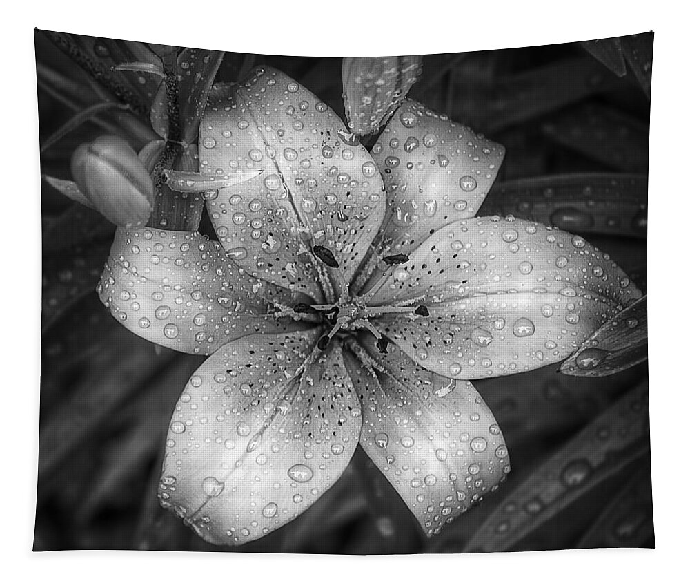Tiger Lily Tapestry featuring the photograph After the Rain by Scott Norris