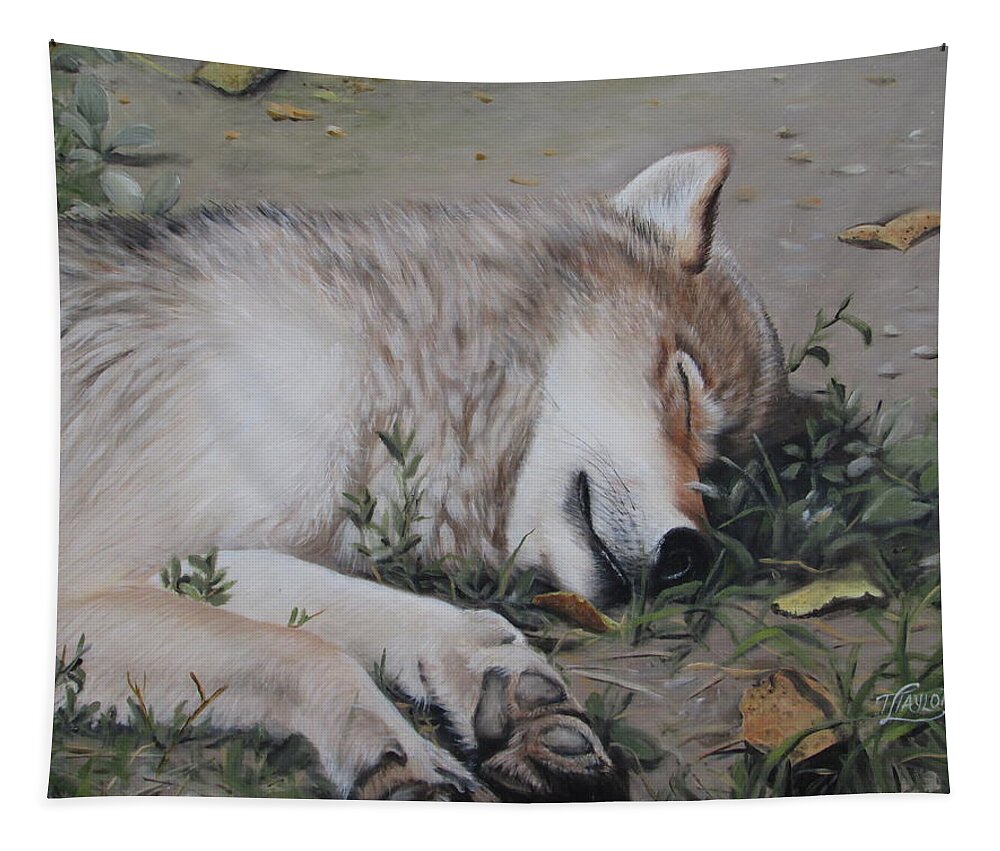 Wolf Tapestry featuring the painting Afternoon Nap by Tammy Taylor