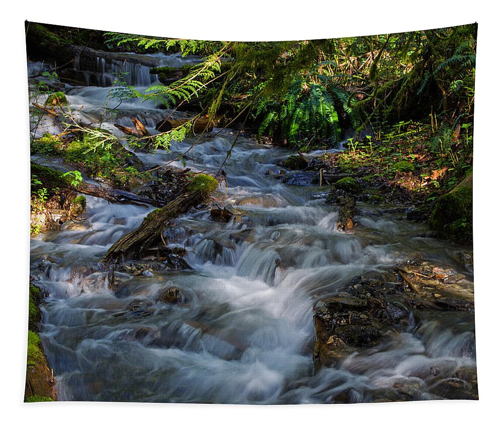 Afternoon Refreshment Tapestry featuring the photograph Afternoon Refreshment - Waterfall Art by Jordan Blackstone