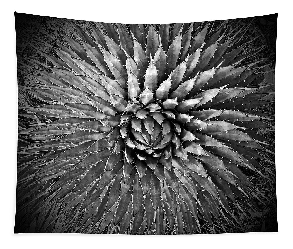 Agave Tapestry featuring the photograph Agave Spikes Black and White by Alan Socolik