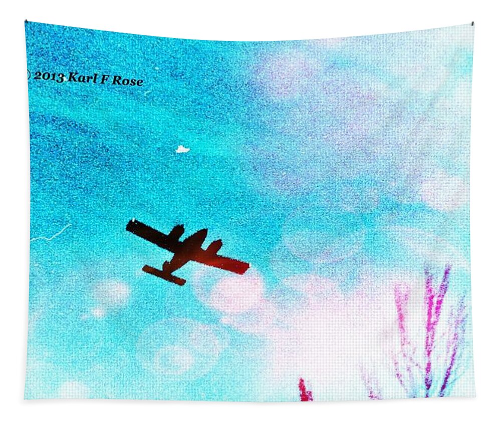 Flight Tapestry featuring the photograph Airplane by Karl Rose