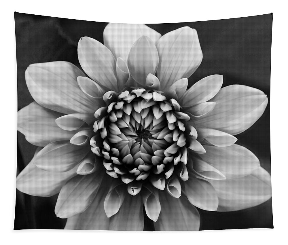 Dahlia Tapestry featuring the photograph Ala Mode Dahlia In Black and White by Jeanette C Landstrom