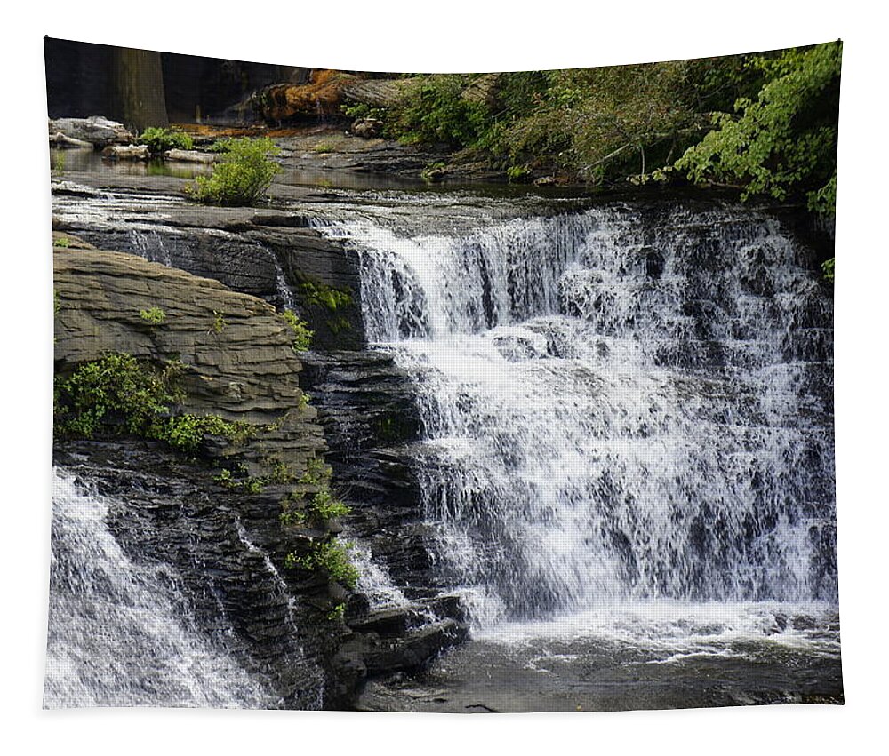 Desota Falls Tapestry featuring the photograph Alabama Waterfall by Laurie Perry