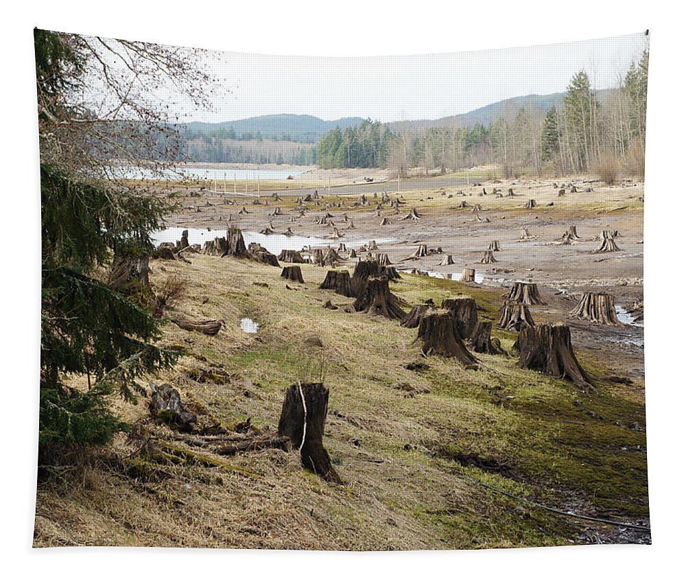 Wall Art Tapestry featuring the photograph Alder Lake by Ron Roberts