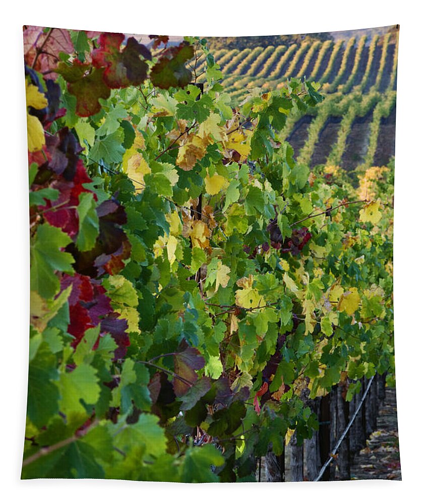 Craig Lovell Tapestry featuring the photograph Alexander Valley Vineyard by Craig Lovell