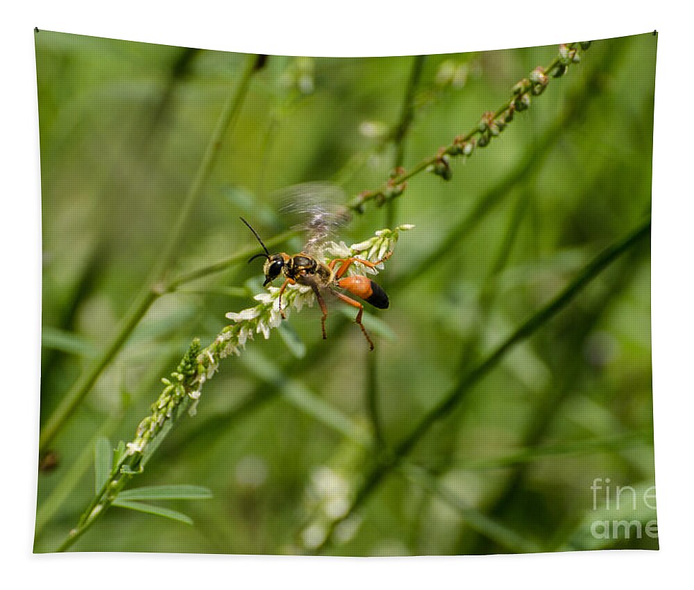 Insect Tapestry featuring the photograph All To Myself by Donna Brown