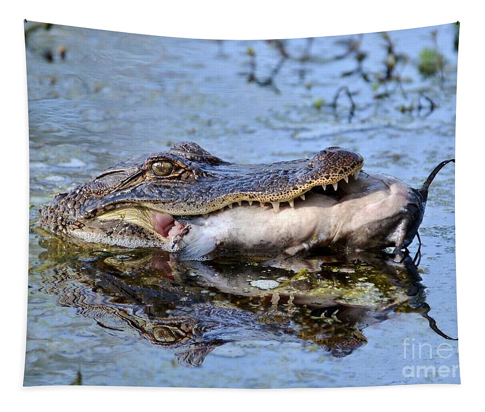 Alligator Tapestry featuring the photograph Alligator Catches Catfish by Kathy Baccari