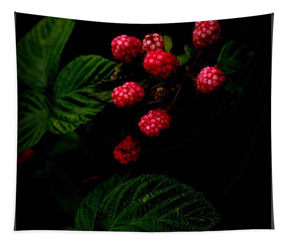 Blackberries Tapestry featuring the photograph Almost Ripe by Kathy Barney