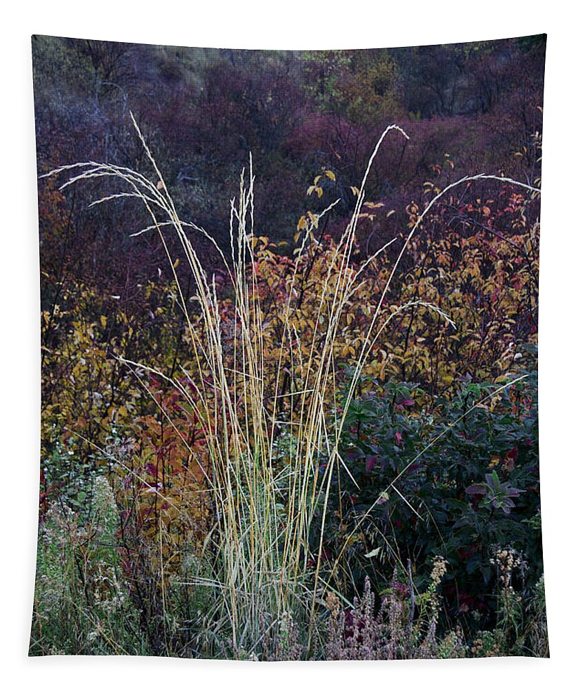 Weed Tapestry featuring the photograph Along Dryden Road by Robert Woodward