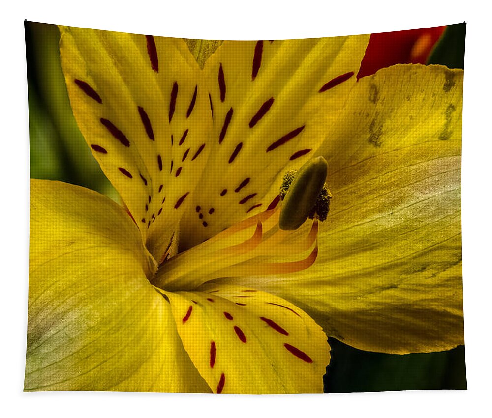 Alstroemeria Tapestry featuring the photograph Alstroemeria Bloom by Ron Pate