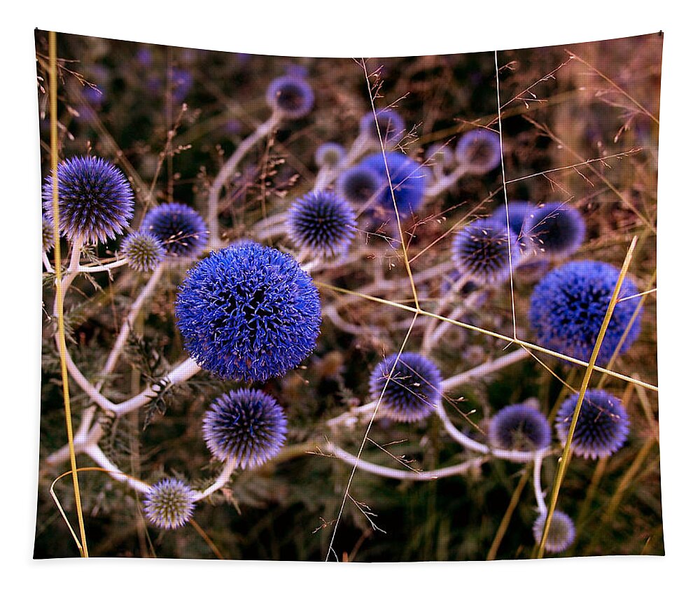 Thistle Tapestry featuring the photograph Alternate Universe by Rona Black