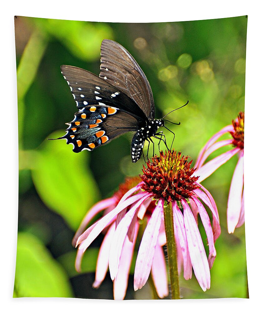 Butterfly Tapestry featuring the photograph Amazing Butterfly by Marty Koch