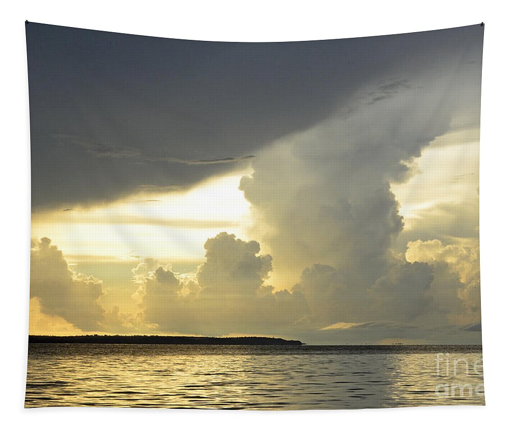 Landscape Tapestry featuring the photograph Amazon River Landscape by Bob Christopher