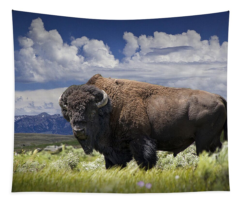 Bison Tapestry featuring the photograph American Western Buffalo by Randall Nyhof